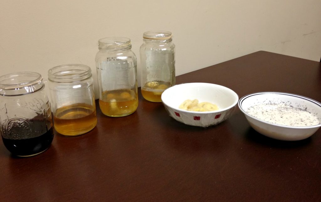 assortment of fruit fly traps on wooden table