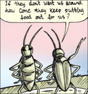 Roach Conversation