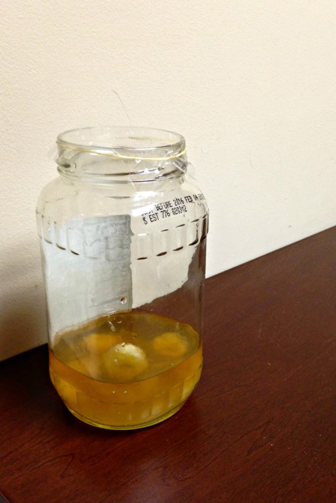 Jar of pieces of rotting fruit, apple cider vinegar, and dish soap covered in cellophane