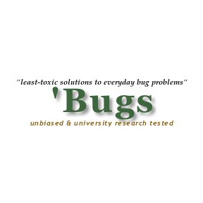 cover title of 'Bugs