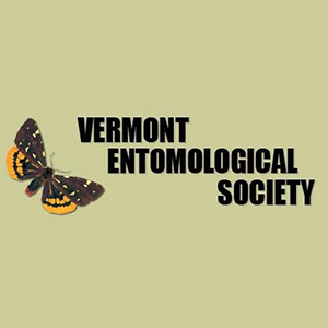 logo of the Vermont Entomological Society