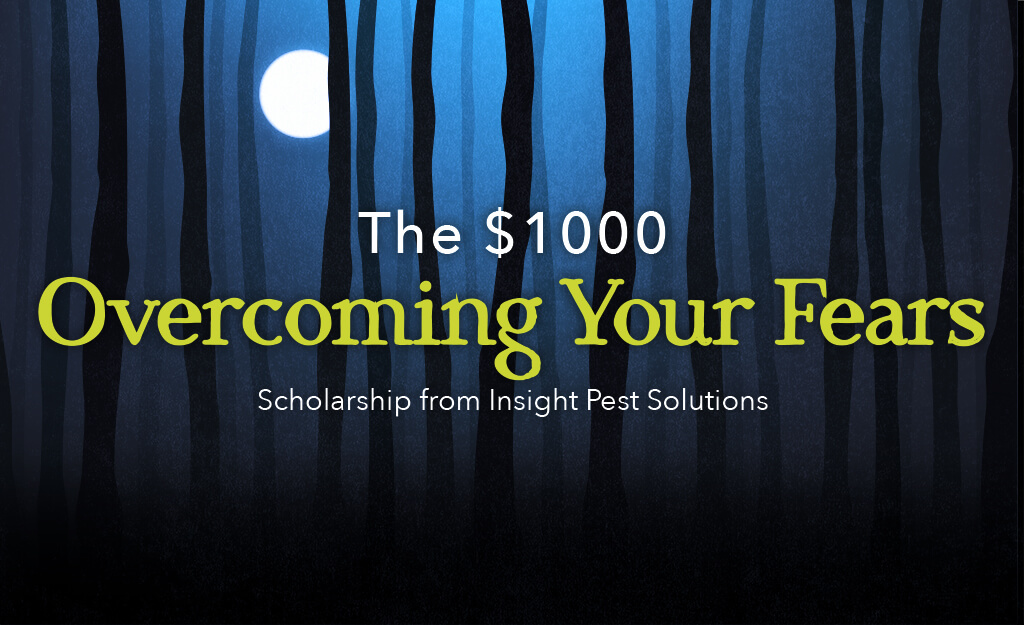 The Fear Scholarship by Insight Pest Solutions