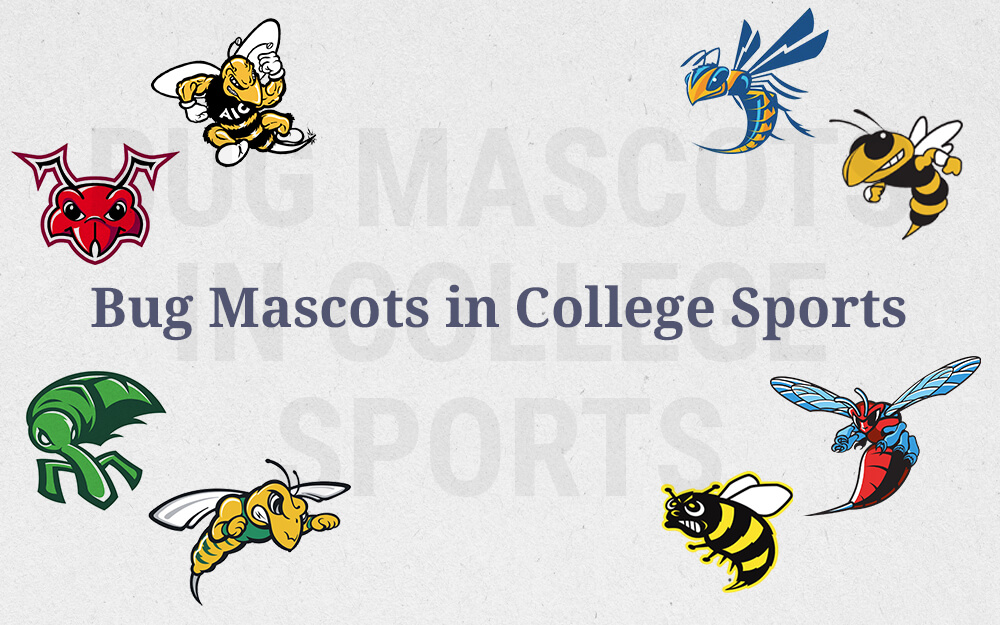 Unusual College Mascots - Bug Mascots in College Sports