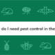search bar surrounded by pests and asking about the importance of pest control in winter