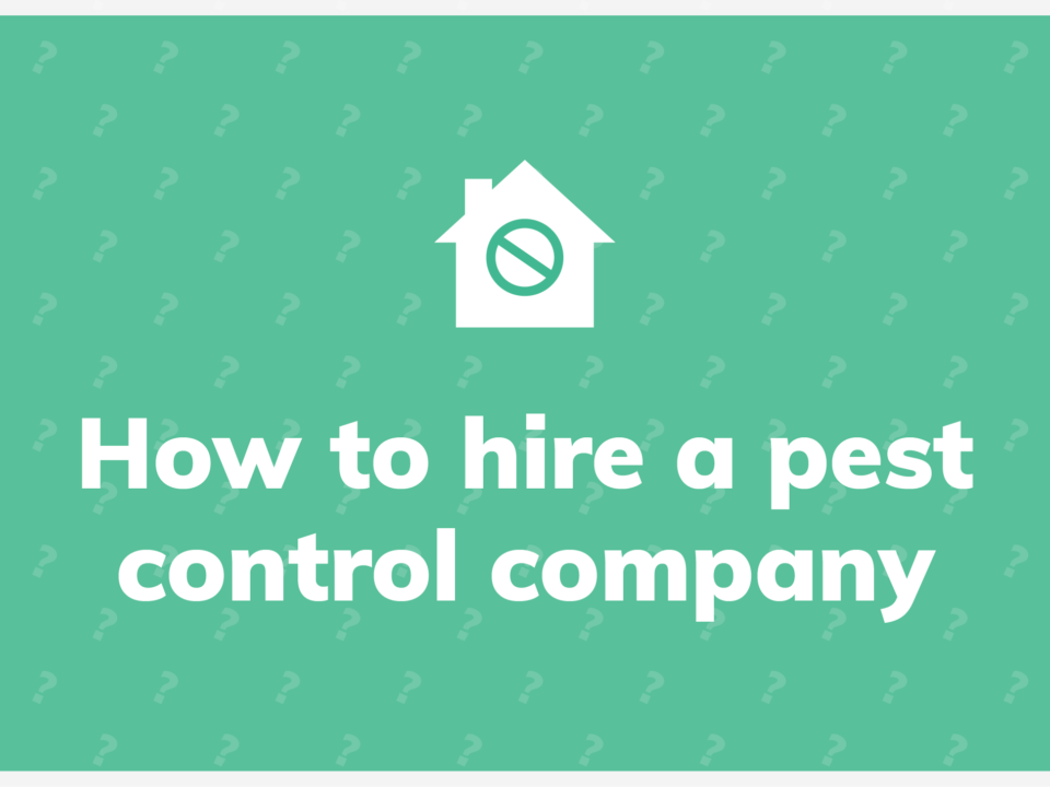 how to hire a pest control company
