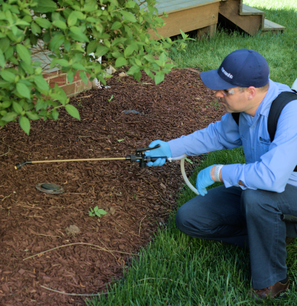 Insight Pest Technician