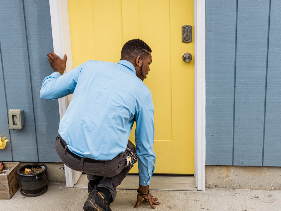 pest inspection